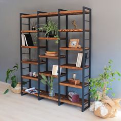 a book shelf filled with books next to a potted plant on top of a hard wood floor