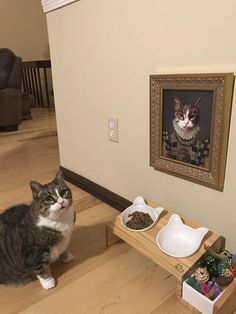 a cat sitting on the floor in front of a wooden table with food and water bowls