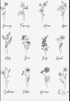 an image of flowers that are drawn in black and white