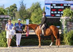 two women standing next to a brown horse in front of a scoreboard with an american flag on it