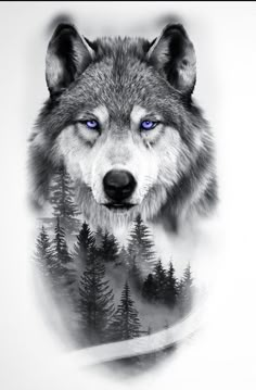 a wolf with blue eyes and trees in the background