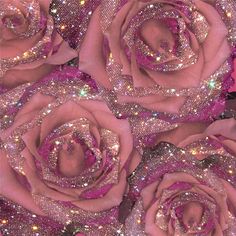 some pink roses with glitter on them