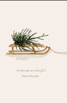 a drawing of a sled with a plant on it and the words, it's the most wonderful time of the year