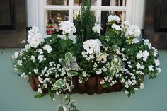 a window box filled with white flowers and greenery