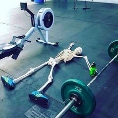 a skeleton laying on the ground next to a barbell