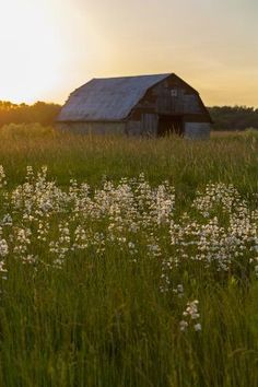 an old barn sits in the middle of a field with wildflowers at sunset