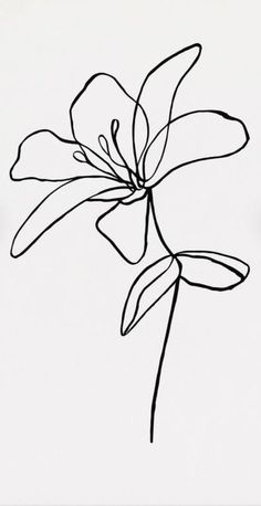 a black and white drawing of a flower on a white background with the outline of a single flower