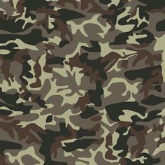 an image of a camouflage background