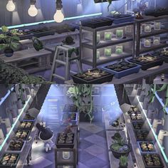 a room filled with lots of plants and lights