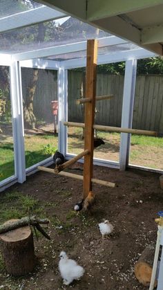 several chickens in an enclosed area under a house