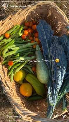 a basket filled with lots of different types of vegetables