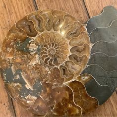 two pieces of metal sitting on top of a wooden floor next to an ammonet shell