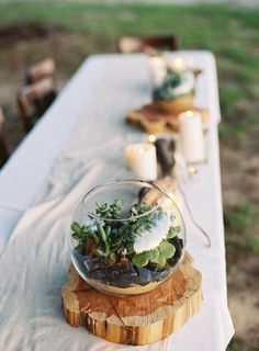 a table topped with a glass bowl filled with plants