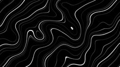 an abstract black and white background with wavy lines