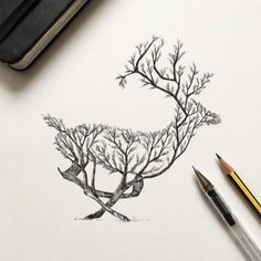 a pencil drawing of a tree with the letter o in it's center, surrounded by branches