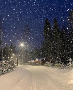 a snow covered road with trees and street lights in the distance at night, surrounded by snow flakes