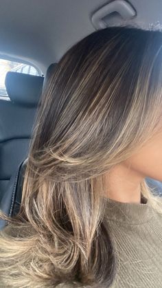 Black Hair Balayage