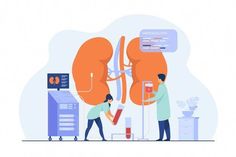 Download this Premium Vector about Kidney disease treatment design concept with tiny people, and discover more than 15 Million Professional Graphic Resources on Freepik Homemade Garden Decorations, Healthy Kidneys, Nerve Pain Relief, Sleep Remedies, Natural Pain Relief