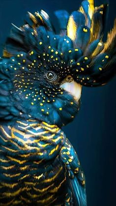 a colorful bird with yellow dots on its feathers