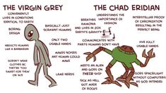 the viggin grey and the chad eidan are depicted in this cartoon