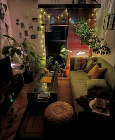 a living room filled with furniture and lots of plants