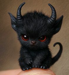 a tiny black animal with red eyes sitting on top of someone's finger and looking at the camera