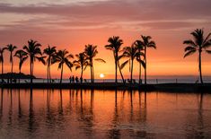 palm trees are silhouetted against the setting sun at an oceanfront park in hawaii