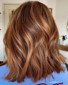 Warm Hair Highlights, Summer Auburn Hair Color, Warm Toned Brown Hair, Warm Auburn Hair Color, Light Brown Auburn Hair, Brown Hair With Auburn Highlights, Brownish Red Hair With Blonde Highlights, Ginger Highlights, Deep Auburn Hair