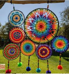 a group of multicolored circular objects hanging from a pole in the grass with tassels