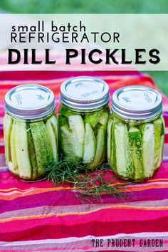 Small Batch Refrigerator Dill Pickles Garden Cucumbers, Refrigerator Dill Pickles, Refrigerator Pickles Dill, Canning Recipe, Cucumber Dill, Summer Sides