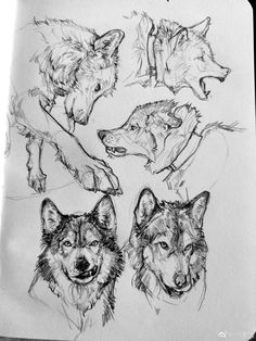 four wolfs are shown in this black and white drawing