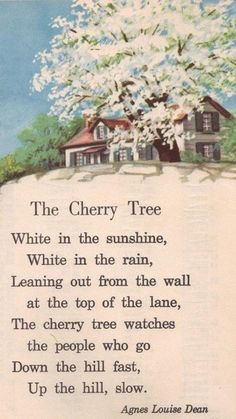 the cherry tree poem written by agnes lonni dean