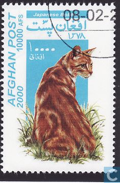 a postage stamp with an image of a cat sitting on the grass, in arabic