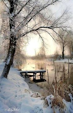 a picnic table sitting in the snow next to a lake with trees and water around it