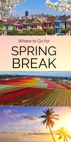 the words where to go for spring break in front of an image of flowers and trees