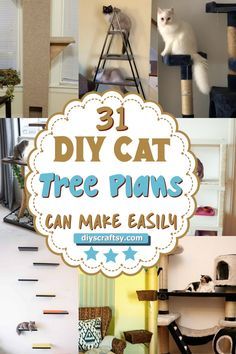 there is a collage of pictures with cats on top and below the caption that says diy cat tree plans can make easily