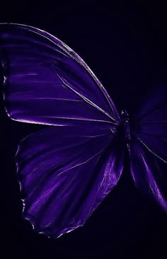 a purple butterfly flying in the dark