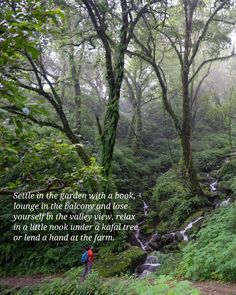 two people walking down a path in the woods with a poem written on it's side