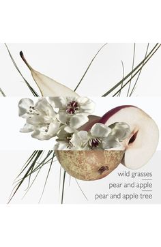 an apple with flowers in it and the words wild grasses pea and apple pear and apple tree