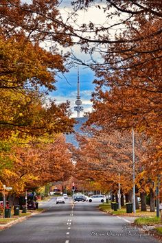 cars are driving down the road in front of trees with orange leaves on them and a tower in the background