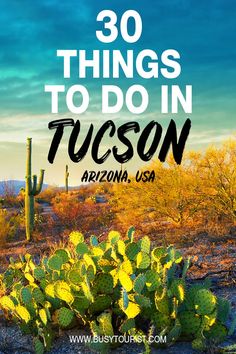 a cactus with the words 30 things to do in tucson arizona usa