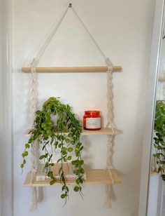 two shelves with plants and candles on them hanging from the wall in front of a mirror