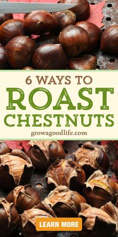 images of cutting an X in chestnuts and roasted chestnuts with text overlay that reads 6 ways to roast chestnuts learn more at grow a good life dot com How Do You Roast Chestnuts In The Oven, Roasted Chestnuts Recipes Fire, Roasting Chestnuts On An Open Fire