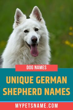 a white dog with its tongue out and the words, best white dog names