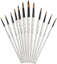 twelve brushes are lined up in a row on a white surface with the words,