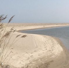 the beach is covered in sand and sea oats