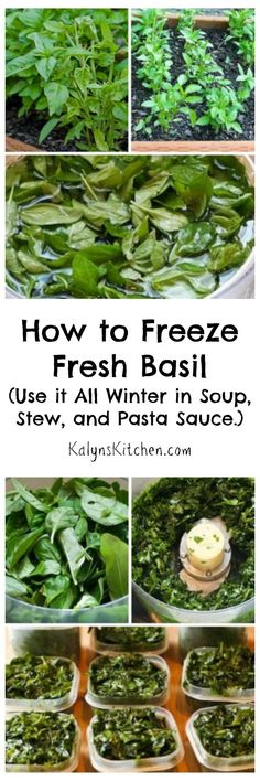 how to freeze fresh basil in your slow cooker