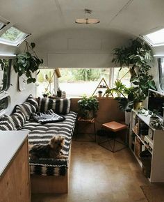 a living room filled with furniture and lots of plants on top of the couches