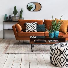 a living room filled with furniture and plants