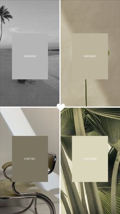 four different color palettes with palm trees in the background